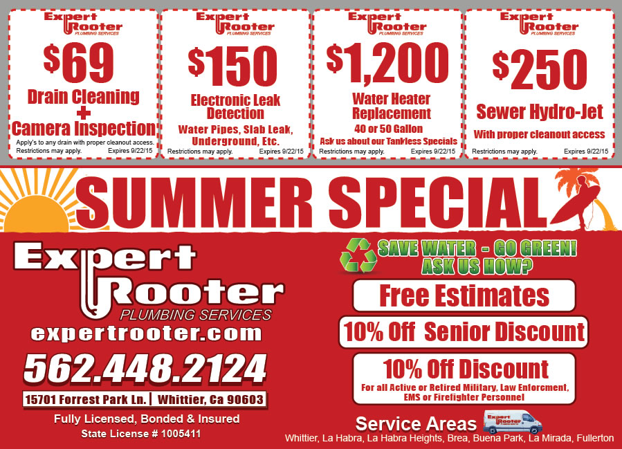 Expert Rooter Coupon
